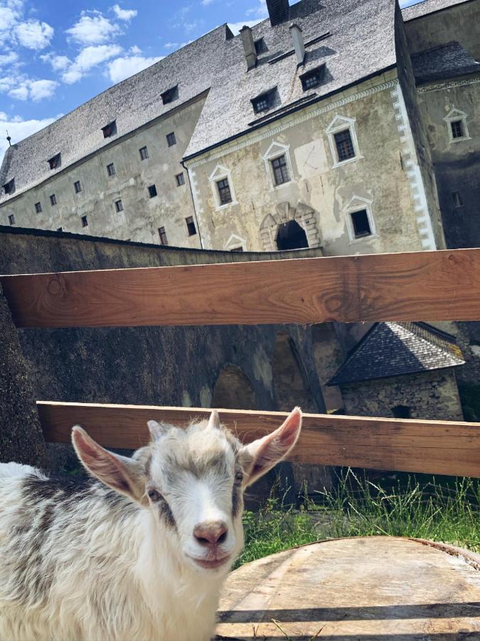 Burg Altpernstein Hotel Micheldorf in Oberösterreich Екстериор снимка